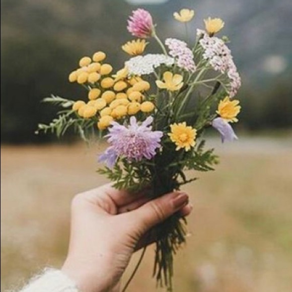 Meet your Posher, Olivia - Picture 1 of 1